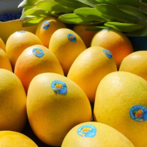 Yellow Mango Kensington Pride trays