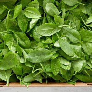 Baby Spinach 1.5kg Box